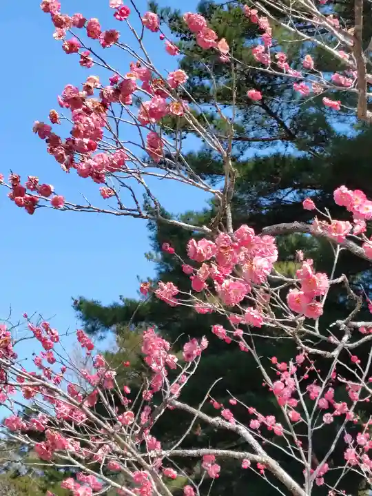 山神社(宮城県)
