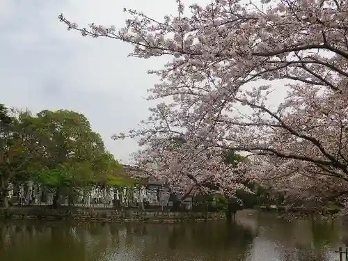 鶴岡八幡宮の庭園