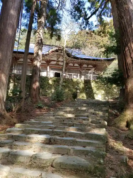 百済寺の{uncategorized: "未分類", other: "その他", undefined: "問題あり", building: "その他建物", grave: "お墓", sacred_gate: "鳥居", guardian: "狛犬", statue: "像", buddha: "仏像", history: "歴史", nature: "自然", garden: "庭園", animal: "動物", pagoda: "塔", temizu: "手水舎", mountain_gate: "山門・神門", sanctuary: "本殿・本堂", subordinate: "末社・摂社", art: "芸術", scenery: "景色", jizo: "地蔵", ema: "絵馬", goshuin: "御朱印", omikuji: "おみくじ", items: "授与品その他", amulet: "お守り", goshuincho: "御朱印帳", eats: "食事", festival: "お祭り", votive_dance: "神楽", shichigosan: "七五三参", wedding: "結婚式", experience: "体験その他", initially: "初詣", around: "周辺", anti_infection: "感染症対策"}