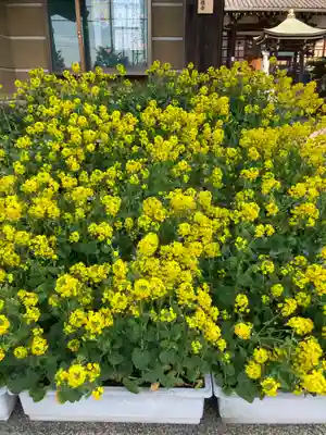 興徳寺(大阪府)