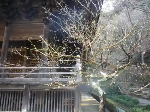 妙本寺の本殿・本堂