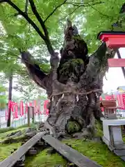 秩父今宮神社(埼玉県)