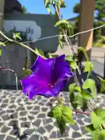 總社 和田八幡宮(福井県)