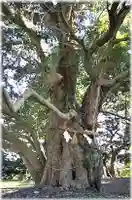 天御子神社の庭園
