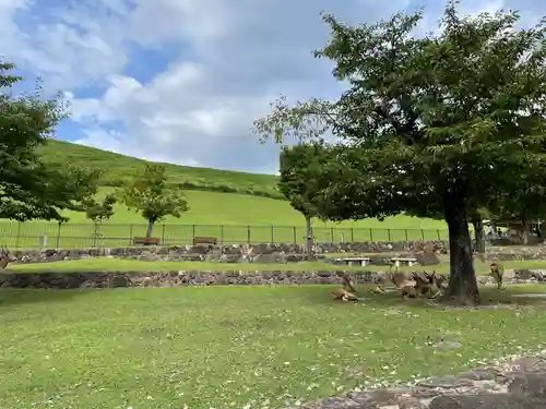 東大寺(奈良県)