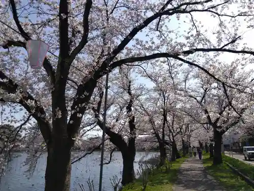 伊部波島大神(新潟県)