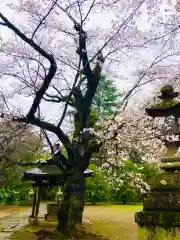 日先神社の自然