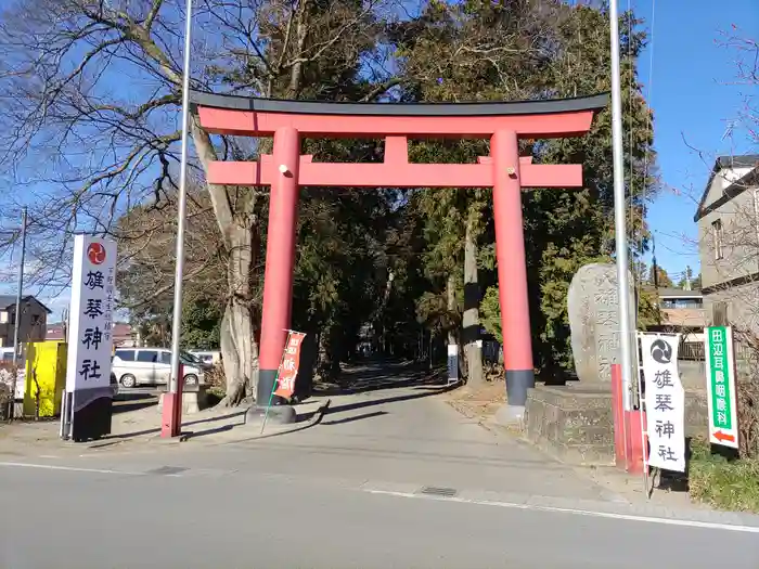 雄琴神社の鳥居