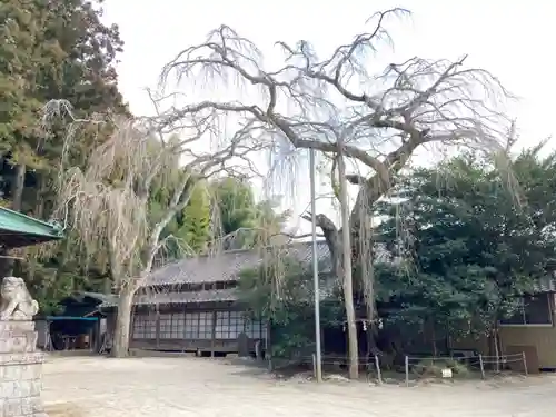 八坂神社(茨城県)