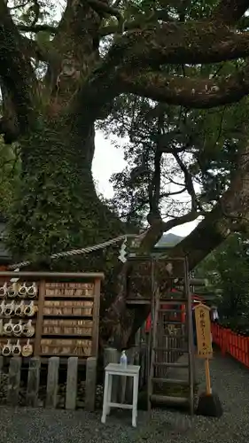 熊野那智大社(和歌山県)