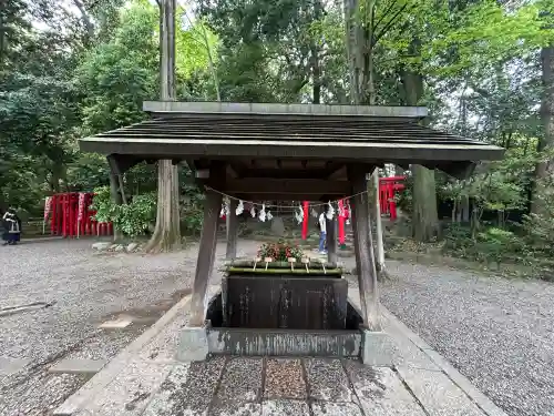 武蔵一宮氷川神社の{uncategorized: "未分類", other: "その他", undefined: "問題あり", building: "その他建物", grave: "お墓", sacred_gate: "鳥居", guardian: "狛犬", statue: "像", buddha: "仏像", history: "歴史", nature: "自然", garden: "庭園", animal: "動物", pagoda: "塔", temizu: "手水舎", mountain_gate: "山門・神門", sanctuary: "本殿・本堂", subordinate: "末社・摂社", art: "芸術", scenery: "景色", jizo: "地蔵", ema: "絵馬", goshuin: "御朱印", omikuji: "おみくじ", items: "授与品その他", amulet: "お守り", goshuincho: "御朱印帳", eats: "食事", festival: "お祭り", votive_dance: "神楽", shichigosan: "七五三参", wedding: "結婚式", experience: "体験その他", initially: "初詣", around: "周辺", anti_infection: "感染症対策"}