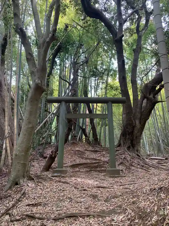 星神社(千葉県)