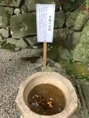 枚岡神社の建物その他