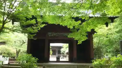 妙本寺の山門・神門