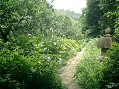 瑞泉寺の庭園