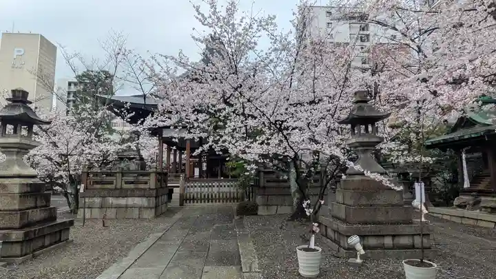 天孫神社(滋賀県)