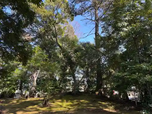 七百餘所神社 の{uncategorized: "未分類", other: "その他", undefined: "問題あり", building: "その他建物", grave: "お墓", sacred_gate: "鳥居", guardian: "狛犬", statue: "像", buddha: "仏像", history: "歴史", nature: "自然", garden: "庭園", animal: "動物", pagoda: "塔", temizu: "手水舎", mountain_gate: "山門・神門", sanctuary: "本殿・本堂", subordinate: "末社・摂社", art: "芸術", scenery: "景色", jizo: "地蔵", ema: "絵馬", goshuin: "御朱印", omikuji: "おみくじ", items: "授与品その他", amulet: "お守り", goshuincho: "御朱印帳", eats: "食事", festival: "お祭り", votive_dance: "神楽", shichigosan: "七五三参", wedding: "結婚式", experience: "体験その他", initially: "初詣", around: "周辺", anti_infection: "感染症対策"}