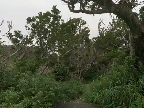 八幡神社の自然