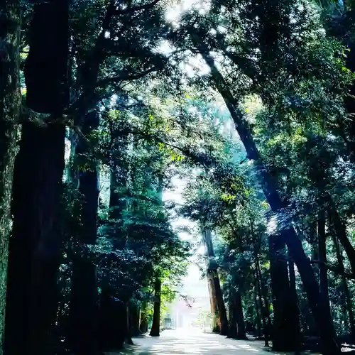 鹿島神宮の自然