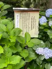 日龍峯寺(高澤観音)(美濃清水)(岐阜県)