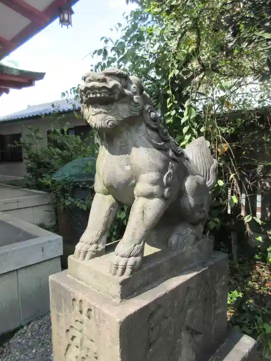 筑土八幡神社の狛犬