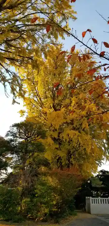 葛西神社の自然