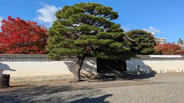 妙覺寺(妙覚寺)(京都府)