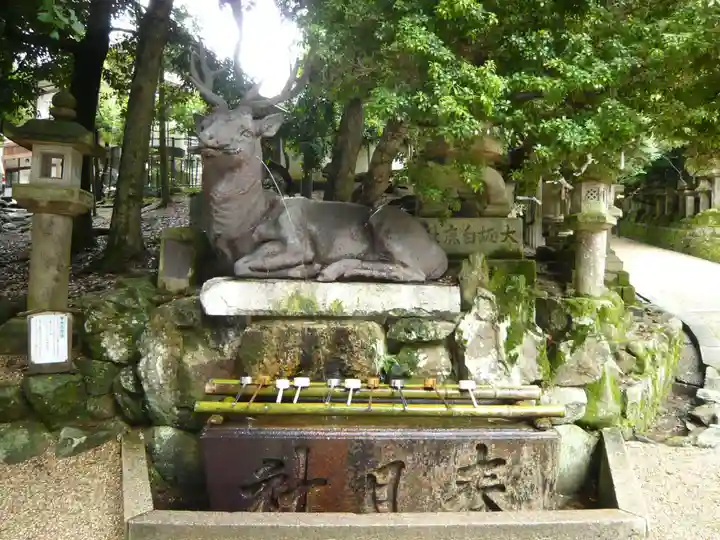 春日大社の手水舎