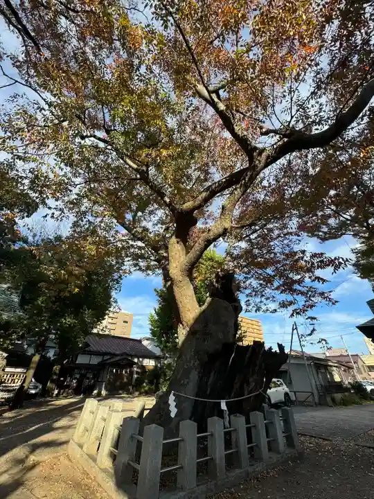 阿邪訶根神社(福島県)