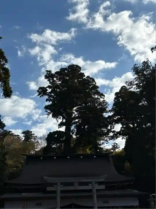 鹿島神宮(茨城県)