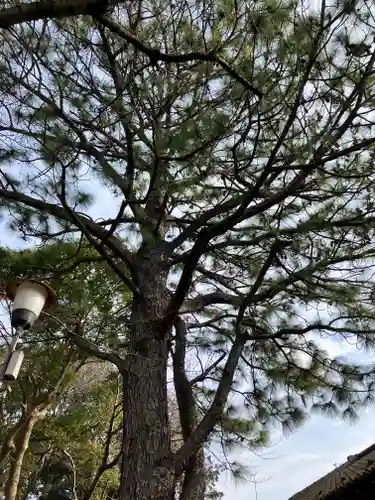 前原御嶽神社(千葉県)
