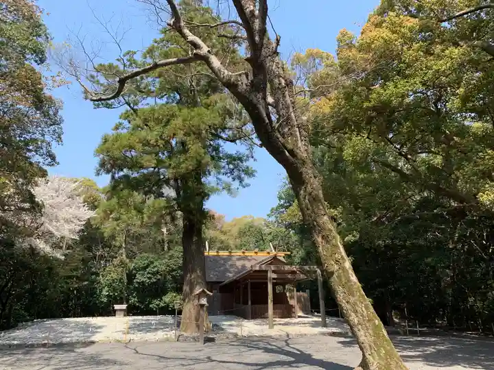 月夜見宮(豊受大神宮別宮)の自然