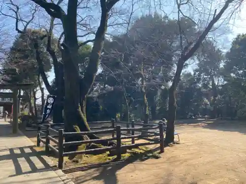 仙波東照宮のその他建物