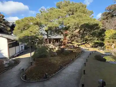 青蓮院門跡(京都府)