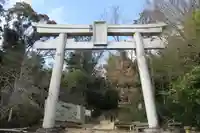 自玉手祭来酒解神社(京都府)