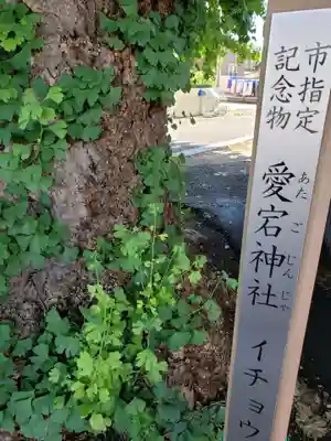愛宕神社のその他建物
