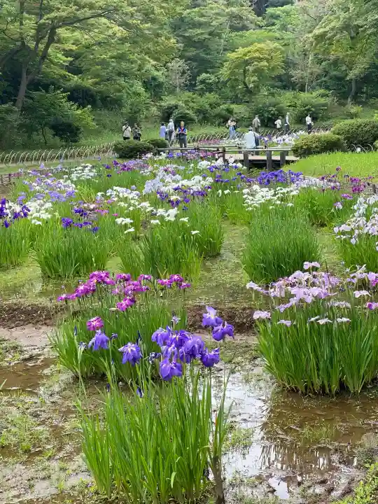 明治神宮(東京都)