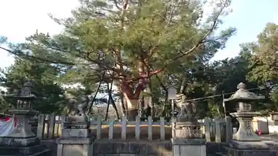 北野天満宮の庭園