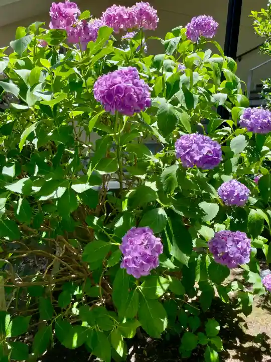 久本神社(神奈川県)