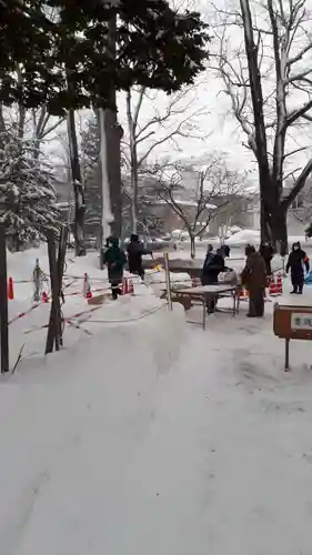 新琴似神社の体験その他