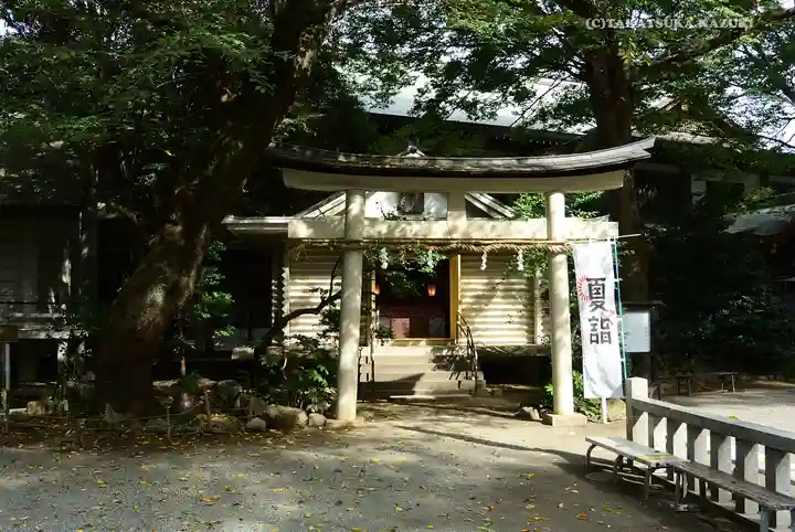 前鳥神社(神奈川県)