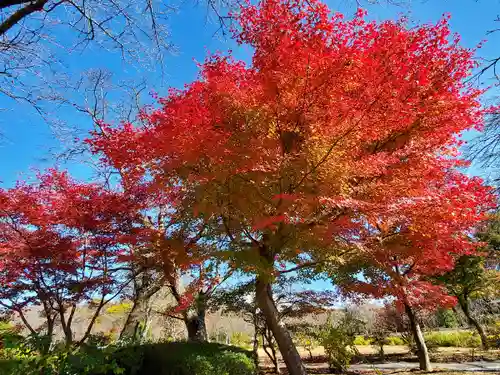 緑水神社の自然