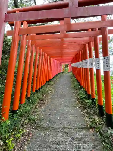 扇森稲荷神社の鳥居