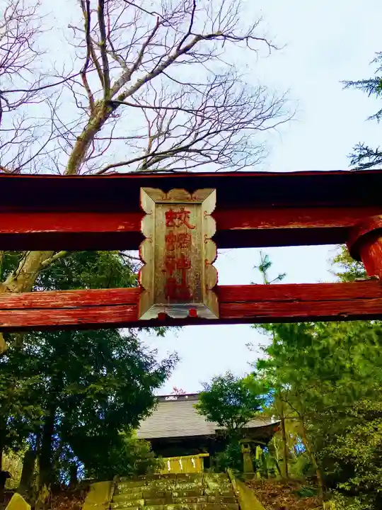 蛟蝄神社門の宮(茨城県)