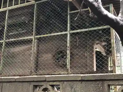 出雲乃伊波比神社のその他建物