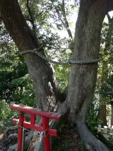 大鷲神社の自然