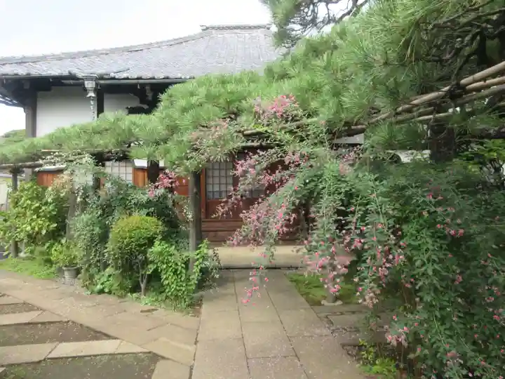 妙情寺(東京都)