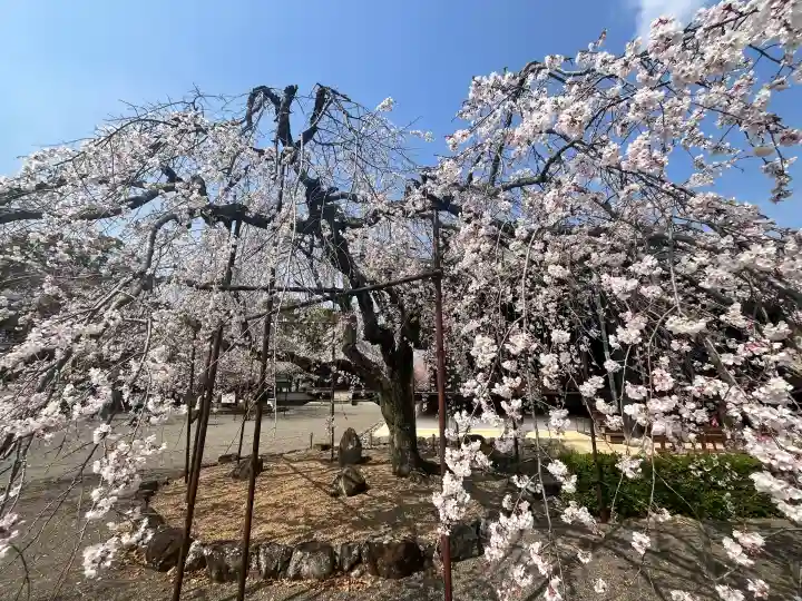 道成寺の{uncategorized: "未分類", other: "その他", undefined: "問題あり", building: "その他建物", grave: "お墓", sacred_gate: "鳥居", guardian: "狛犬", statue: "像", buddha: "仏像", history: "歴史", nature: "自然", garden: "庭園", animal: "動物", pagoda: "塔", temizu: "手水舎", mountain_gate: "山門・神門", sanctuary: "本殿・本堂", subordinate: "末社・摂社", art: "芸術", scenery: "景色", jizo: "地蔵", ema: "絵馬", goshuin: "御朱印", omikuji: "おみくじ", items: "授与品その他", amulet: "お守り", goshuincho: "御朱印帳", eats: "食事", festival: "お祭り", votive_dance: "神楽", shichigosan: "七五三参", wedding: "結婚式", experience: "体験その他", initially: "初詣", around: "周辺", anti_infection: "感染症対策"}
