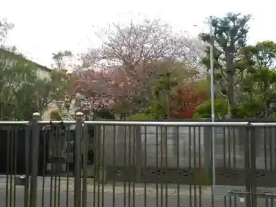 極楽寺（霊鷲山感應院極楽律寺）の周辺