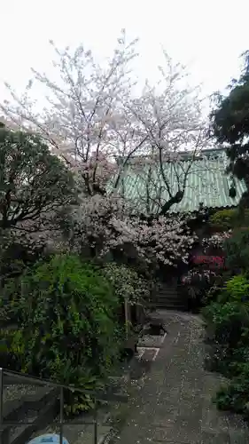 成覚寺の本殿・本堂